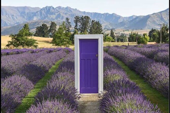 Private Queenstown and Wanaka City Day Tour - An In-Depth Look at the Queenstown and Wanaka Day Tour