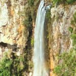 Private Rainforest & Wildlife Tour - Build Your Own Experience - What Makes the Experience Stand Out?