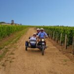 Private ride in the vineyards from Saint-Emilion - The Ride: Scenic Routes and Vineyard Views