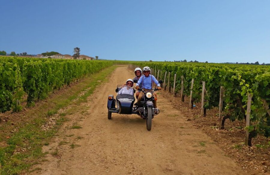 Private ride in the vineyards from Saint-Emilion - The Ride: Scenic Routes and Vineyard Views