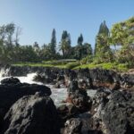 Private Road to Hana Rainforest & Waterfall Experience from Maui - What Makes This Tour Stand Out?