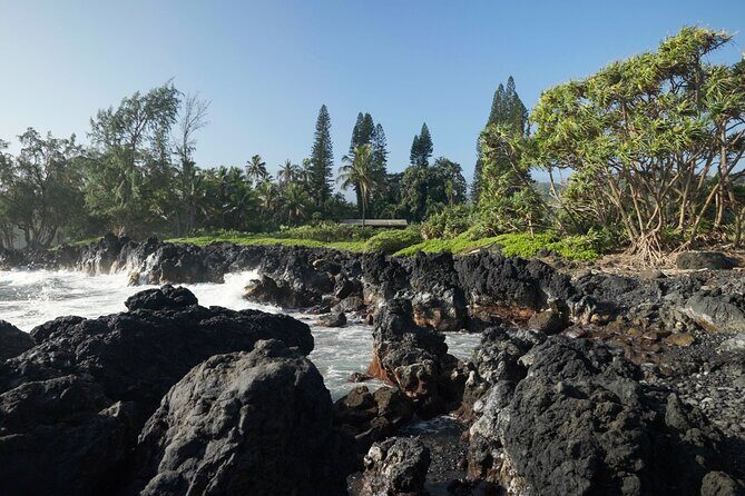 Private Road to Hana Rainforest & Waterfall Experience from Maui - What Makes This Tour Stand Out?