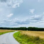 Private Roadbike Adventure in Stockholm - Who is This Tour Best For?