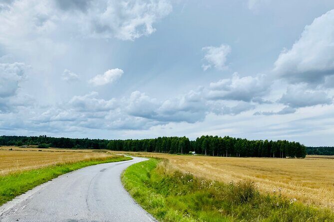 Private Roadbike Adventure in Stockholm - Who is This Tour Best For?