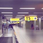 Private Rotterdam Cruise Port Departure Transfer to AMS Schiphol Airport - Practical Tips for Your Transfer