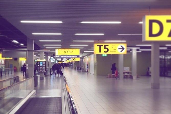 Private Rotterdam Cruise Port Departure Transfer to AMS Schiphol Airport - Practical Tips for Your Transfer