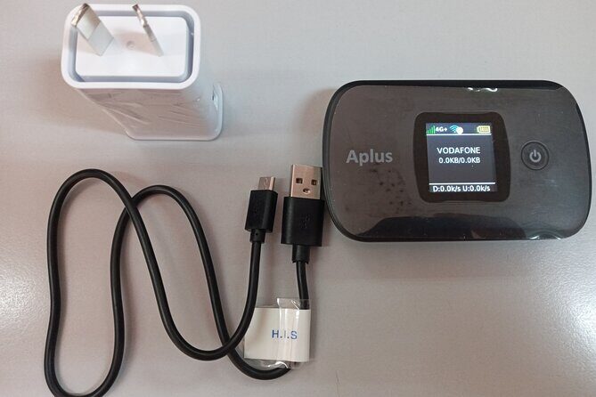Private Round-trip Nadi Airport to Hotels+Unlimited Data Pocket Wi-Fi rental - Practical Tips for Travelers