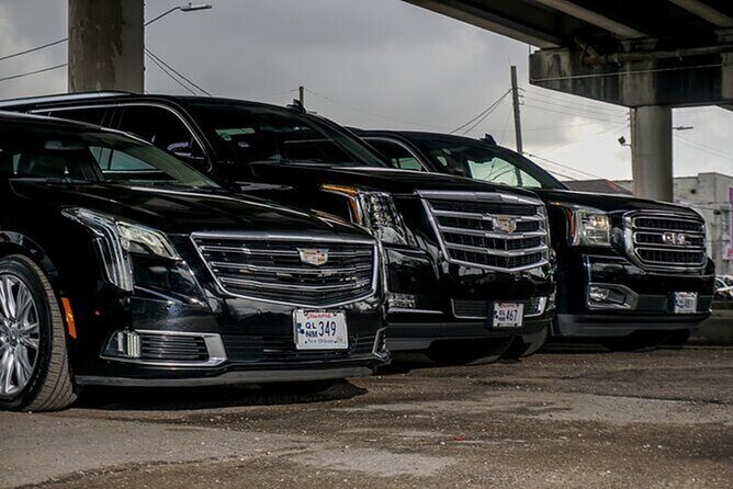 Private Round-Trip Transfer New Orleans and Louis Armstrong MSY - Who Should Consider This Service?