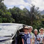 Private Roundtrip Transfer - Nadi Airport to Fiji Marriott Momi Bay - A Thorough Breakdown of the Experience