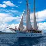Private Roundtrip Transfer - Nadi Airport to Shangri-La Fijian Resort - Authentic Experiences from Guest Reviews