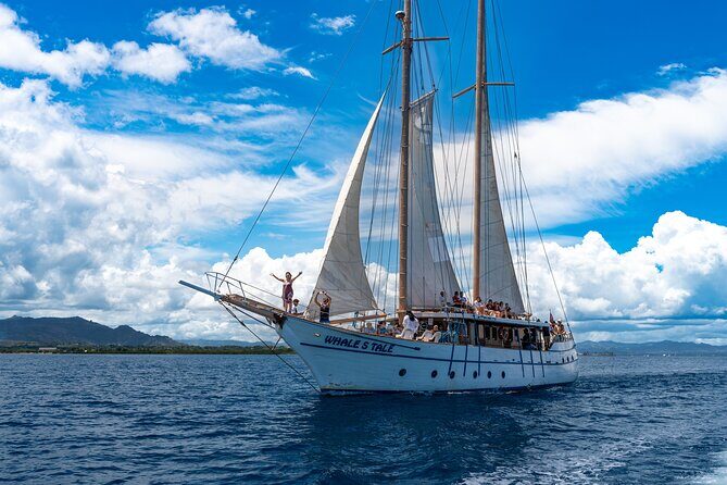 Private Roundtrip Transfer - Nadi Airport to Shangri-La Fijian Resort - Authentic Experiences from Guest Reviews