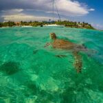Private Ruins, Turtles Snorkel & Adventure Park with Lunch - Unpacking the Tour: Step-by-Step