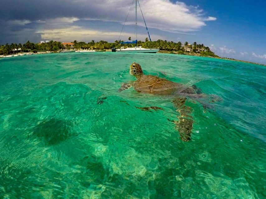 Private Ruins, Turtles Snorkel & Adventure Park with Lunch - Unpacking the Tour: Step-by-Step