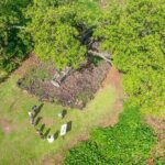 Private Safari Adventure Tour in Bora Bora with Local Guide - Authenticity and Guide Experience