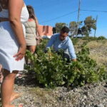 Private Santorini Wine Journey: 2 Top Wineries & Local Lunch - Final Thoughts: Is It Worth It?
