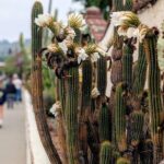 Private Scavenger Hunt in San Juan Capistrano Tour - Frequently Asked Questions (FAQs)