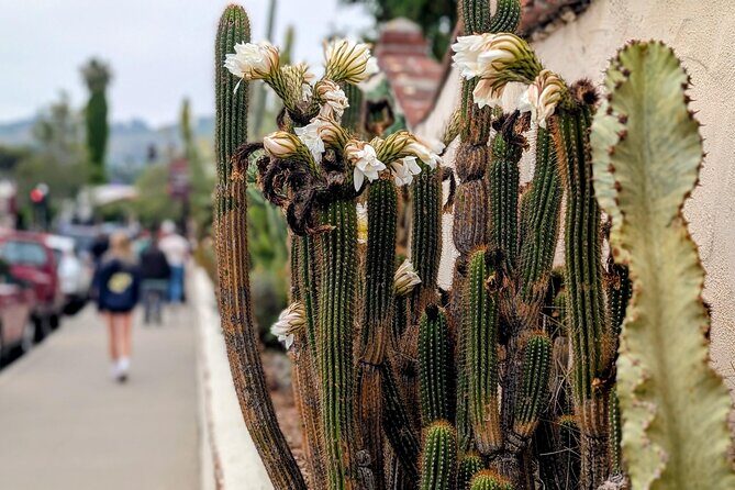 Private Scavenger Hunt in San Juan Capistrano Tour - Frequently Asked Questions (FAQs)