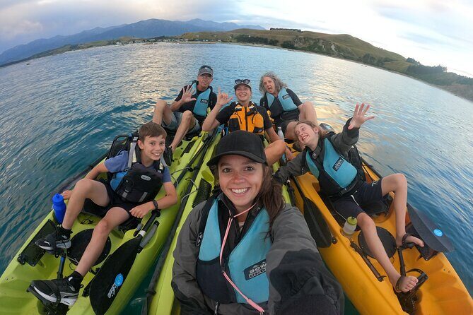 Private Seal Kayaking and Wildlife Tour in Kaikoura