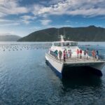Private Shore Excursion: Explore Marlborough from Picton - Who Will Love This Tour?