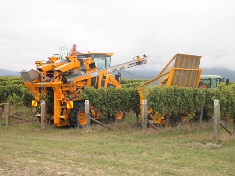 Private Shore Excursion from Picton: Marlborough Highlights - A Closer Look at the Marlborough Highlights Tour