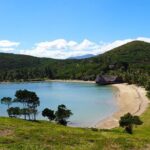 Private Sightseeing Tours - An In-Depth Look at the Private Sightseeing Tour in Nouméa