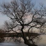 Private Sigtuna Tour from Stockholm - Oldest Town of Sweden - The Practicalities: What’s Included and What’s Not