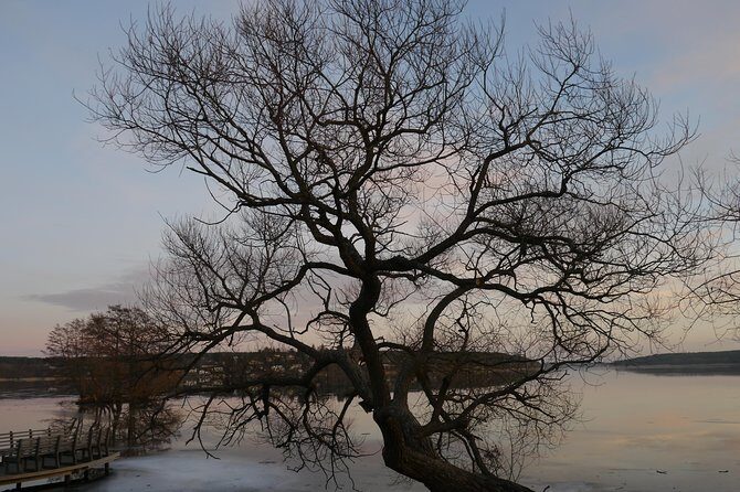 Private Sigtuna Tour from Stockholm - Oldest Town of Sweden - The Practicalities: What’s Included and What’s Not