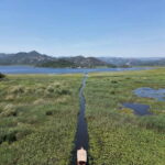 Private Skadar lake tour with guide, snacks and drinks - An In-Depth Look at the Skadar Lake Private Tour