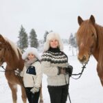 Private Sleigh Ride with Finnhorse - A Detailed Look at the Private Finnhorse Sleigh Ride