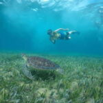 Private SNORKEL AND ISLA MUJERES Tour for GROUPS & FAMILIES - Frequently Asked Questions