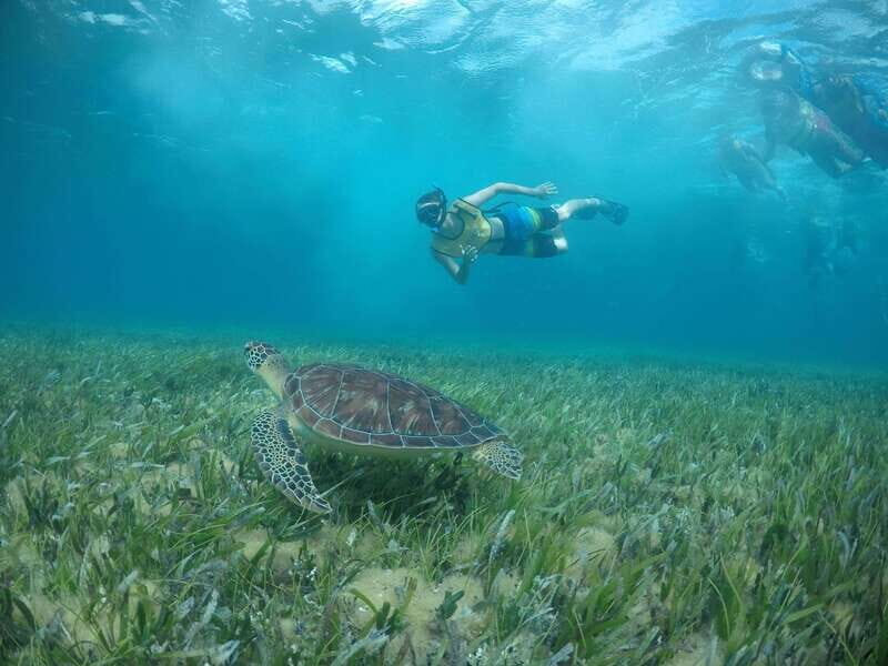 Private SNORKEL AND ISLA MUJERES Tour for GROUPS & FAMILIES - Frequently Asked Questions