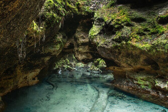 Private Snorkeling Expedition in the Florida Springs - Final Thoughts – Who Should Consider This Tour?