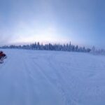 Private Snowmobile Experience in Rovaniemi's Forest - What We Loved