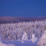 Private Snowshoe or Ski Adventure in Lapland - Frequently Asked Questions