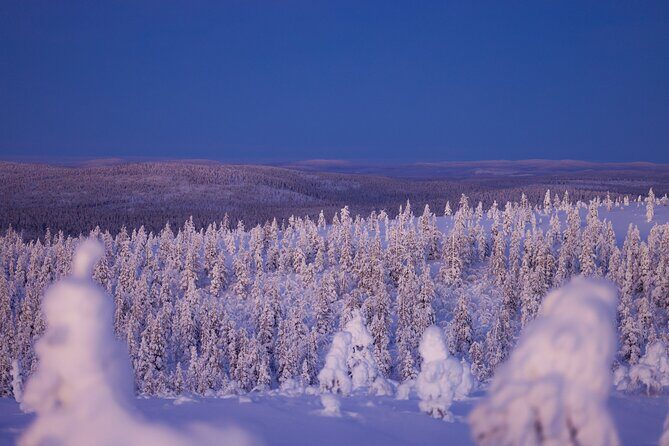 Private Snowshoe or Ski Adventure in Lapland - Frequently Asked Questions
