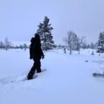 Private: Snowshoeing Safari in spectacular National Park - Authenticity, Comfort, and Unique Features