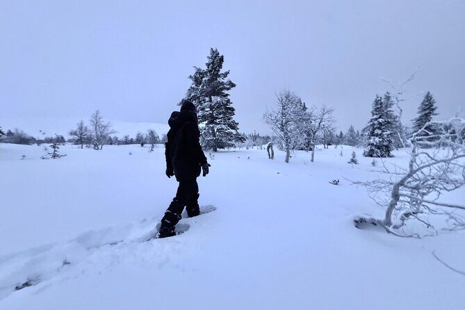 Private: Snowshoeing Safari in spectacular National Park - Authenticity, Comfort, and Unique Features
