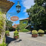 Private Sommelier Tour (Verde e Douro): 3 Wineries and Lunch - Authenticity and Value