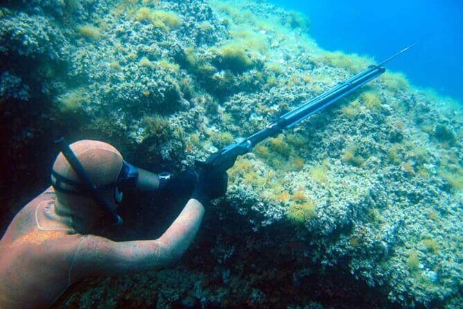 Private Spearfishing Trip From Athens - Who Will Appreciate This Tour?