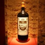 Private Special Tour Around Lisbon and Wine Tasting - The Experience: What to Expect