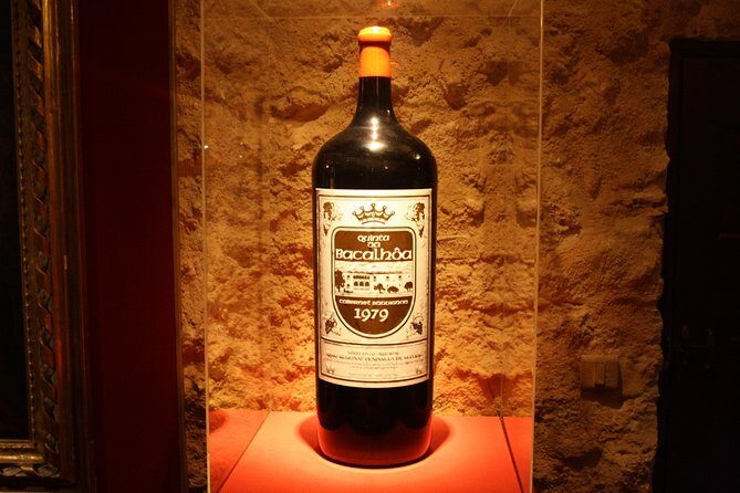 Private Special Tour Around Lisbon and Wine Tasting - The Experience: What to Expect
