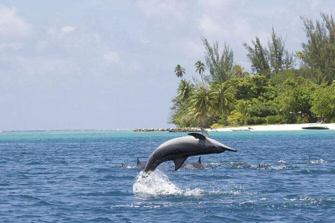 Private Speed Boat Charter with Experienced Captain - The Sum Up: Why This Tour Is a Great Choice