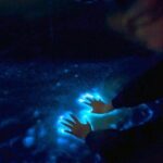 Private Sunset and Bioluminescence Tours in Cocoa Beach - Who Will Love This Tour?