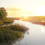 Private Sunset Cruise in Savannah's Low Country - Frequently Asked Questions