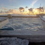Private sunset excursion to the Sailing Lagoon of Tahiti - Summary of the Experience