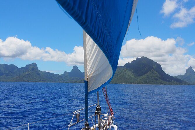 Private Sunset Sailing Excursion Sail yourself Mori Ora - Analyzing the Value: Is It Worth It?