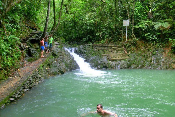 Private Suva Nature and Waterfall Tour - An In-Depth Look at the Suva Waterfalls Tour