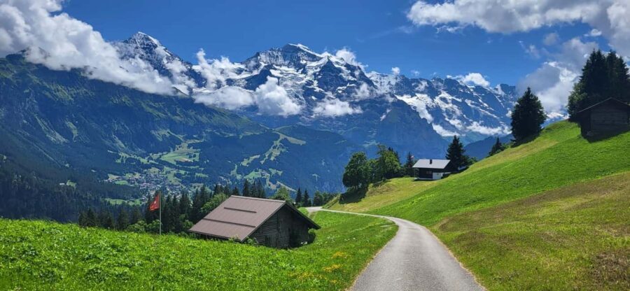 Private Swiss Alps Tour, Lakes, Villages, Waterfalls - Practical Details and Value