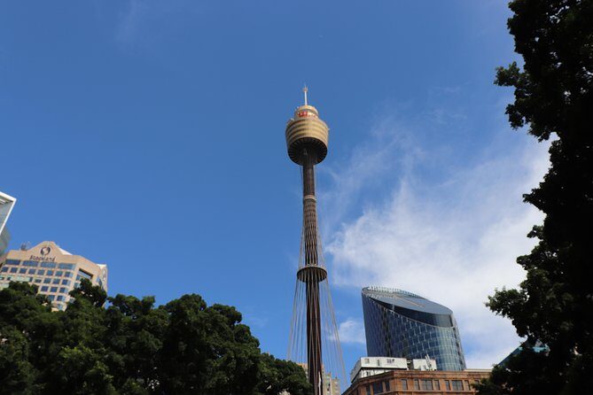 Private Sydney City Customized Tour - A Deep Dive into the Tour Experience