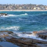 Private Sydney Discovery Tour - Who Should Book This Tour?
